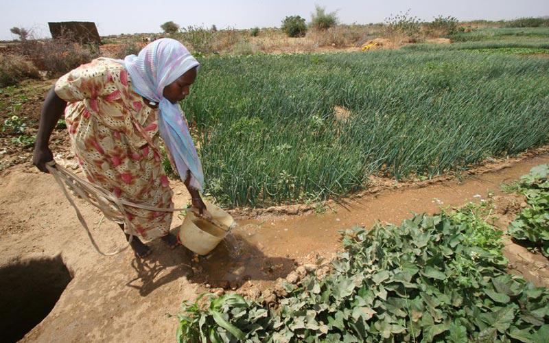 Woman Farmer